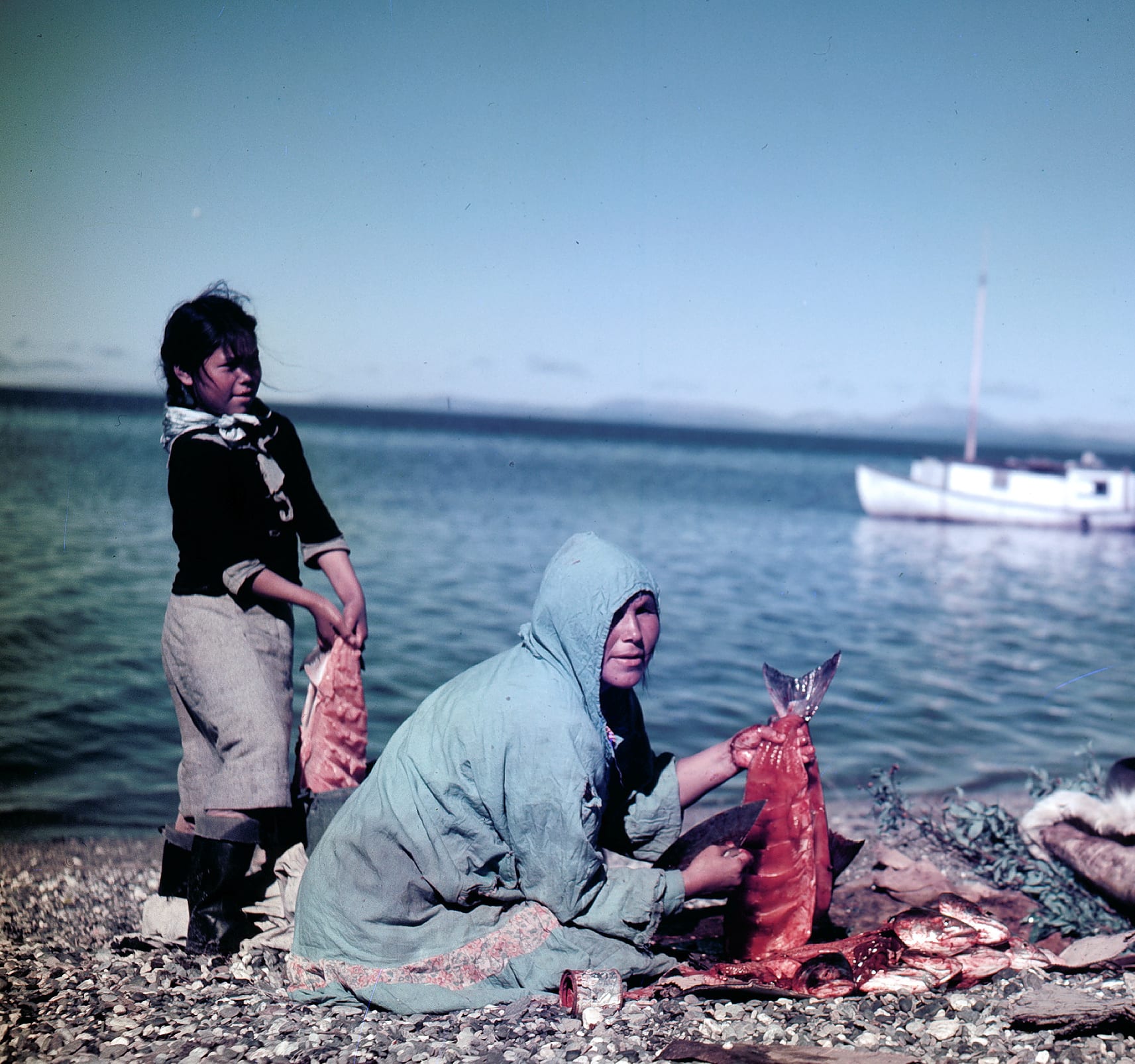 Kotzebue SASAP State of Alaska Salmon and People